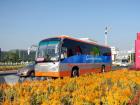 鮮花、笑臉、靚車相映成景