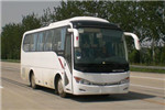 金龍XMQ6759AYN5D客車（天然氣國五24-33座）