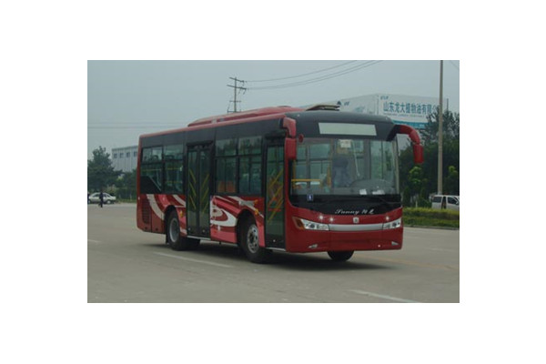 中通LCK6950HGA公交車（柴油國五10-38座）