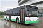 揚(yáng)子江WG6120BEVHM7公交車(chē)（純電動(dòng)29-45座）