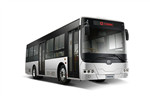 中車電動TEG6105BEV01公交車（純電動20-39座）