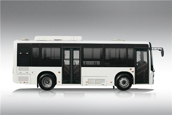 中車(chē)電動(dòng)TEG6802BEV01公交車(chē)（純電動(dòng)14-29座）