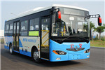 東風(fēng)旅行車DFA6800EBEV6公交車（純電動14-29座）