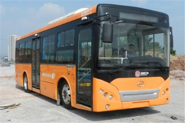 五洲龍F(tuán)DG6853EVG2公交車(chē)（純電動(dòng)14-23座）