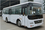 宇通ZK6902NG5公交車(chē)（天然氣國(guó)五10-36座）