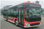 奇瑞萬牌WD6117BEVG03公交車（純電動(dòng)19-39座）