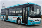 東風旅行車DFA6100CBEV4公交車（純電動21-39座）