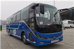 宇通ZK6117BEVY32客車（純電動24-52座）